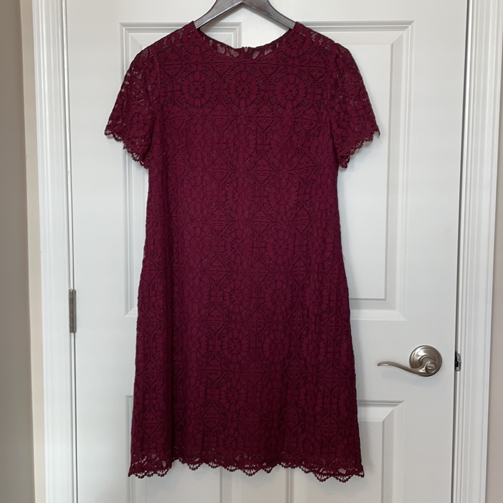 London Times Cathedral Lace Sheath Dress - Picture 3 of 12